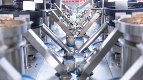 走進(jìn)洽洽透明工廠(chǎng),探訪(fǎng)一顆堅(jiān)果蘊(yùn)藏的新質(zhì)生產(chǎn)力