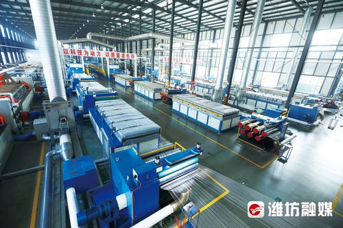 濰坊高密 產(chǎn)業(yè)聚 鏈 成勢(shì) 園區(qū)向 新 發(fā)力